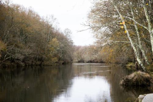 Rio Ladra-Begonte