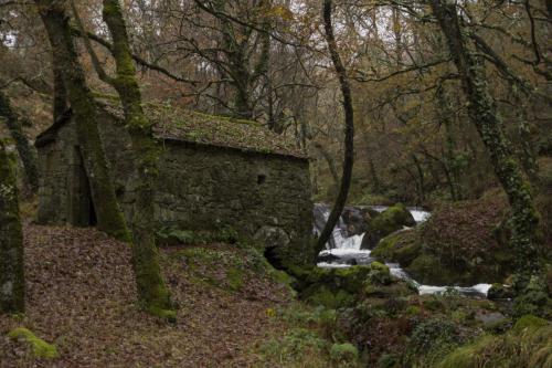 Sete muinos-Guitiriz (1)